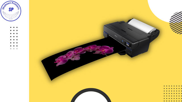 Epson SureColor P800